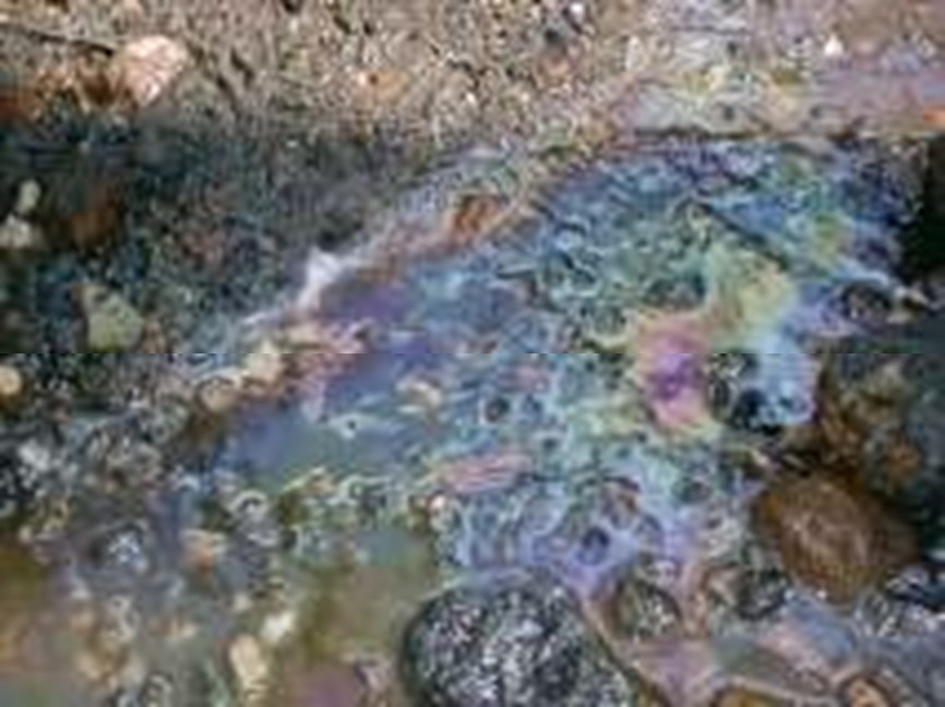 重油流出直後の河川の状態