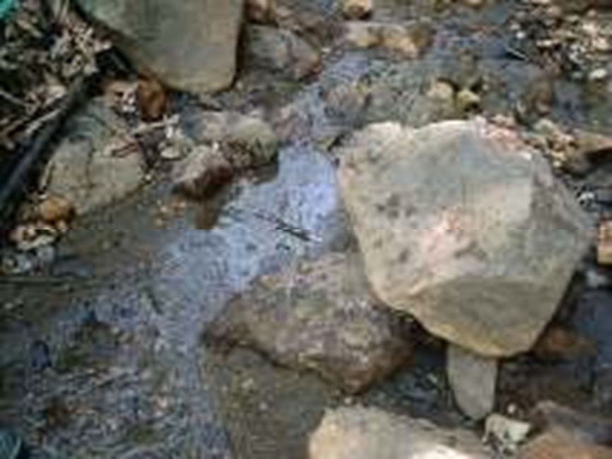 処理後の河川の状態