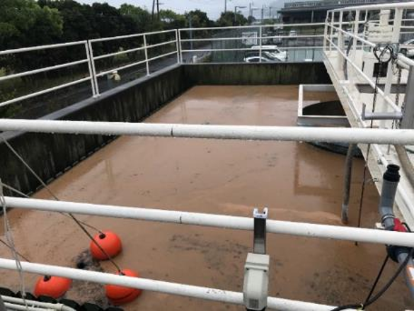 改善前の汚泥中に残留する油脂分の状況